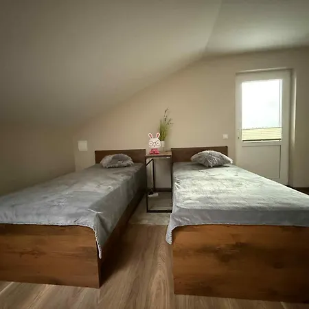 Apartament Aerodromas!kunigiskiu K1