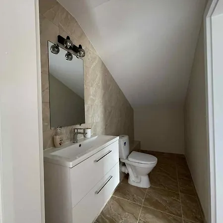 Apartament Aerodromas!kunigiskiu K1 *